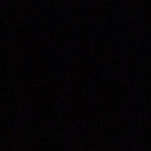 Meet your Posher, Tamika